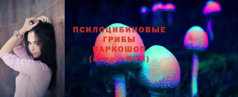 kraken зеркало  Борзя  Галлюциногенные грибы Magic Shrooms  купить наркоту 